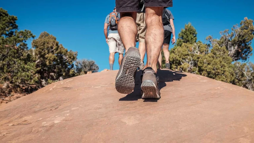 Hikers pause on the trail to enjoy their environment